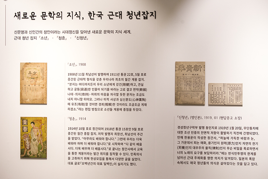 새로운 문학의 지식, 한국 근대 청년잡지.
